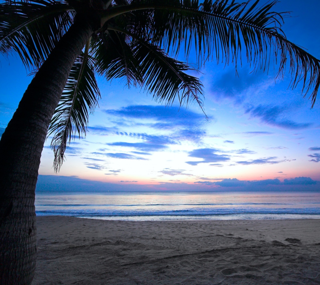 Das Tropical Sunset Wallpaper 1080x960