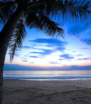 Tropical Sunset - Obrázkek zdarma pro Nokia C-Series
