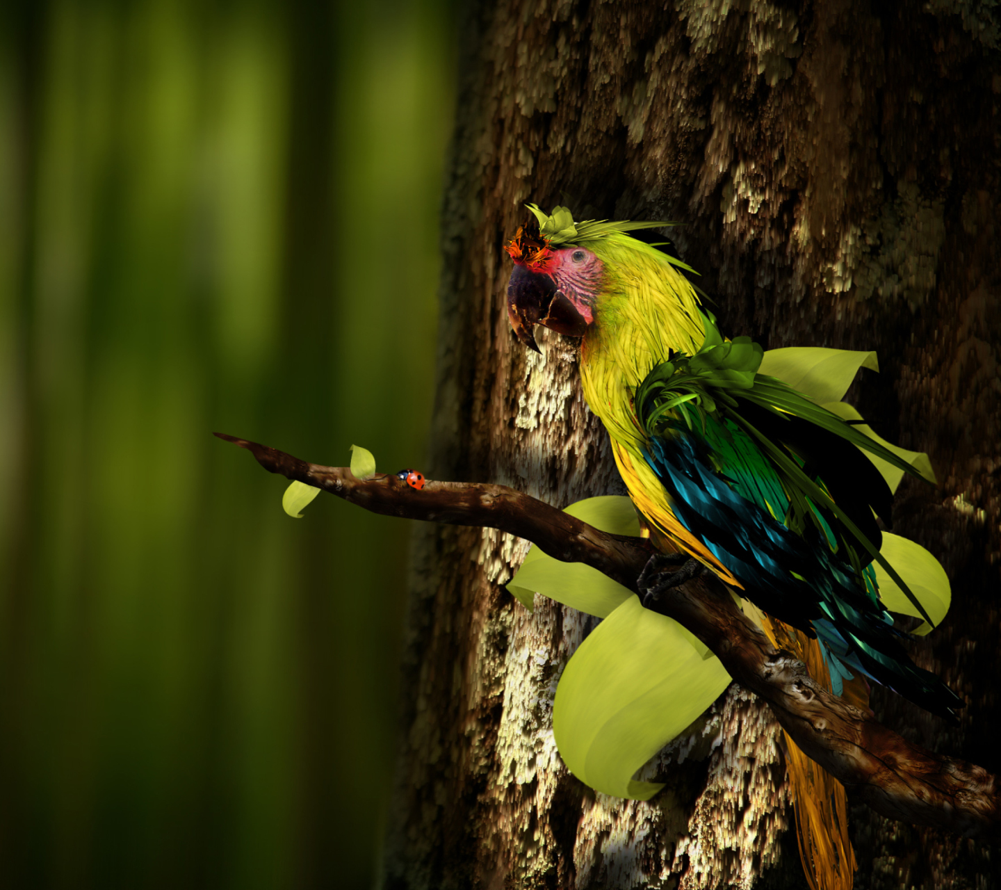 Обои Rare Parrot 1440x1280