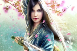 Woman Samurai Picture for Android, iPhone and iPad