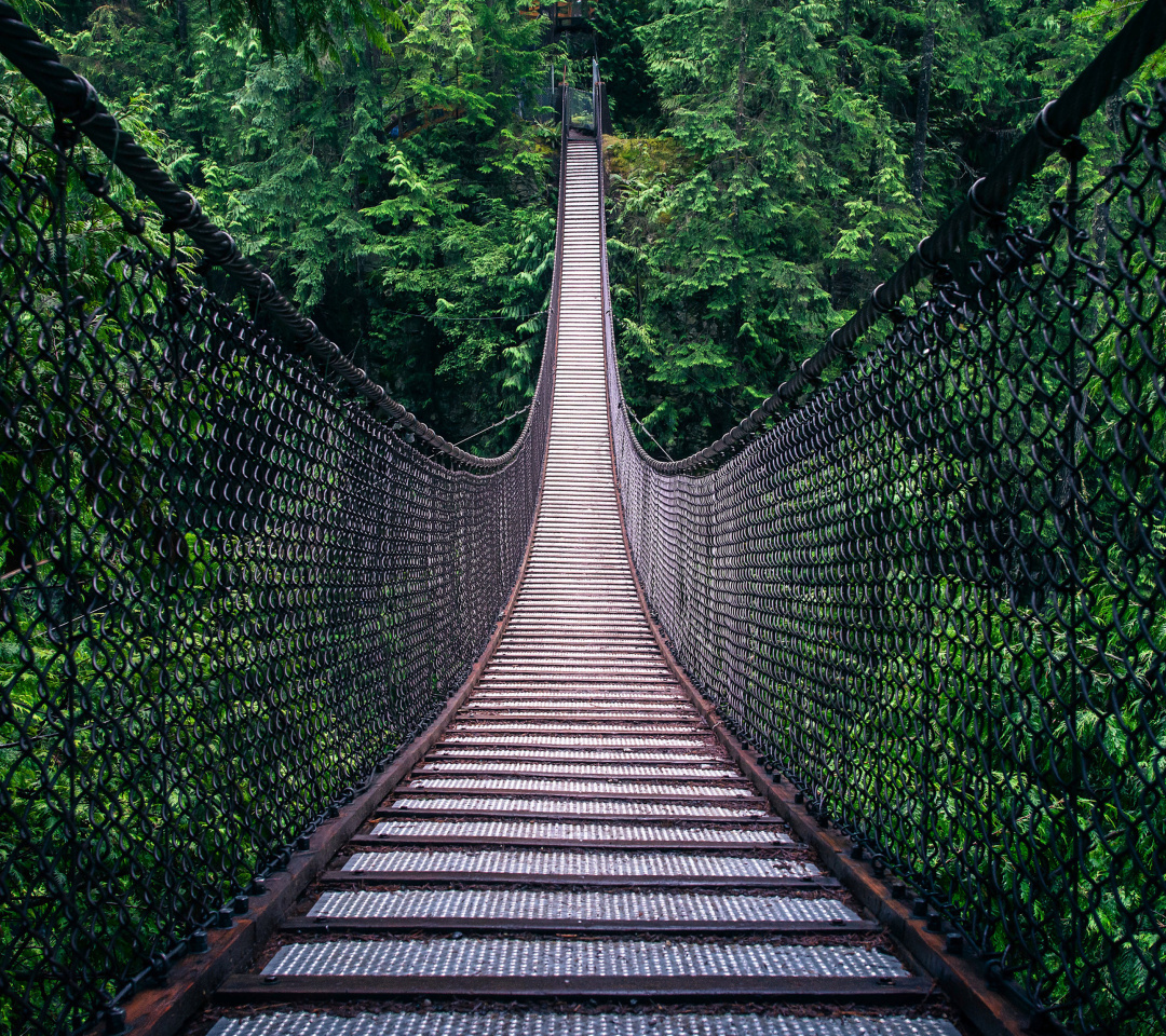 Lynn Canyon Suspension Bridge in British Columbia screenshot #1 1080x960