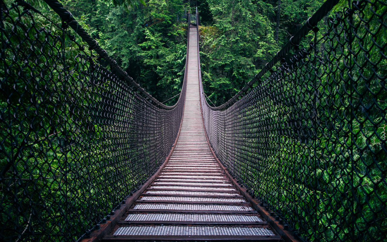 Das Lynn Canyon Suspension Bridge in British Columbia Wallpaper 1280x800