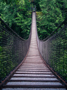 Sfondi Lynn Canyon Suspension Bridge in British Columbia 132x176