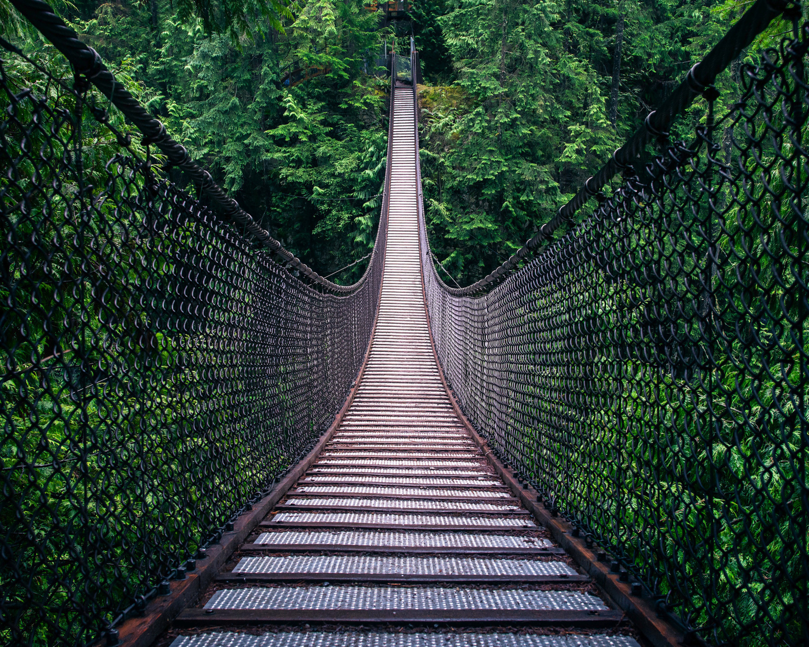 Screenshot №1 pro téma Lynn Canyon Suspension Bridge in British Columbia 1600x1280