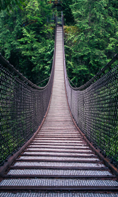 Sfondi Lynn Canyon Suspension Bridge in British Columbia 240x400