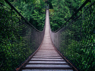 Обои Lynn Canyon Suspension Bridge in British Columbia 320x240