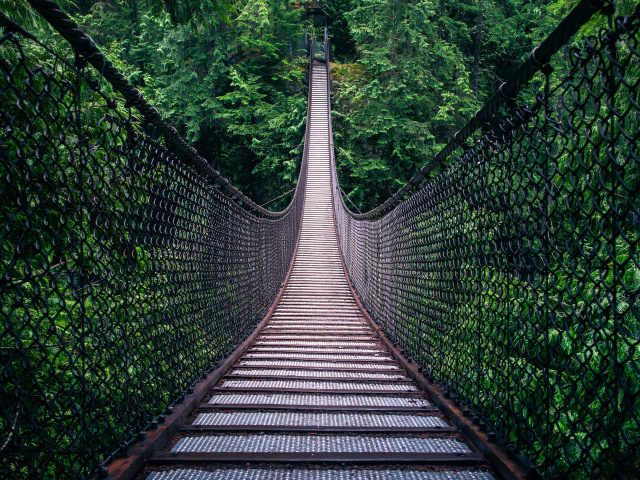 Fondo de pantalla Lynn Canyon Suspension Bridge in British Columbia 640x480