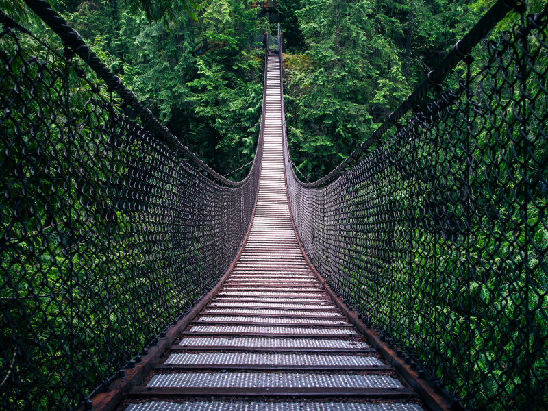 Обои Lynn Canyon Suspension Bridge in British Columbia 800x600