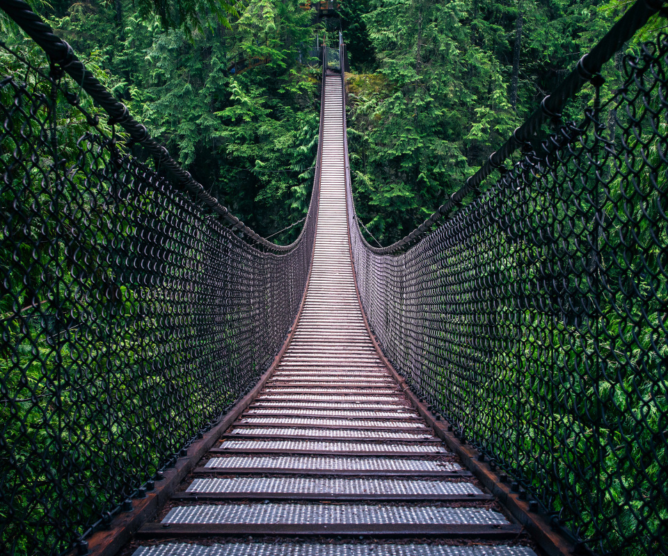 Fondo de pantalla Lynn Canyon Suspension Bridge in British Columbia 960x800