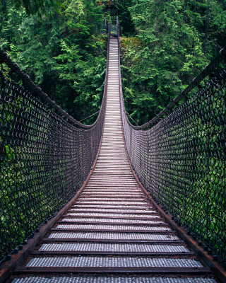 Lynn Canyon Suspension Bridge in British Columbia - Fondos de pantalla gratis para Nokia 5530 XpressMusic