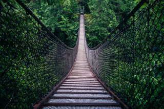 Lynn Canyon Suspension Bridge in British Columbia Background for Android, iPhone and iPad