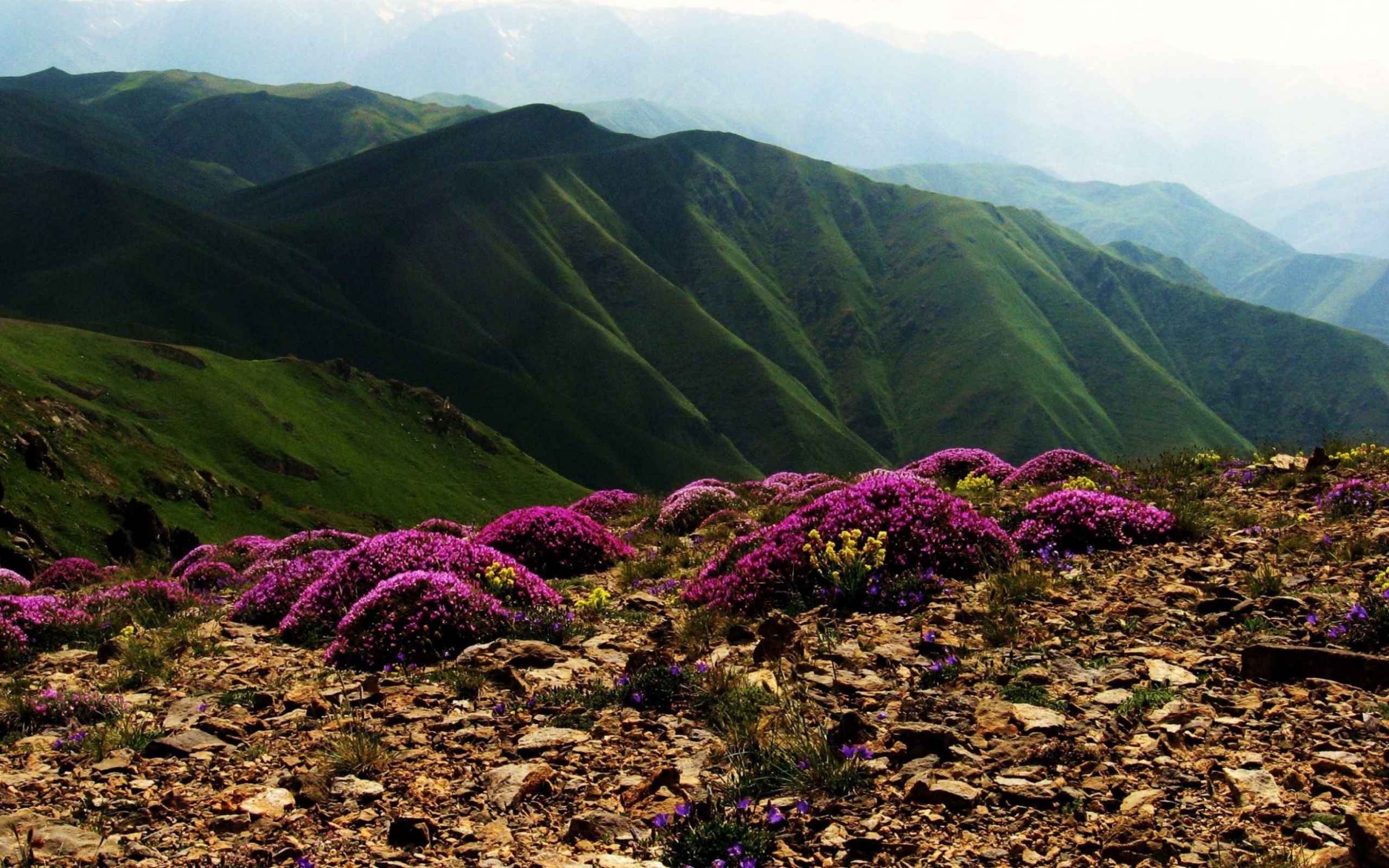 Screenshot №1 pro téma Armenia Mountain 2560x1600