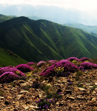 Armenia Mountain - Obrázkek zdarma pro Nokia Asha 306