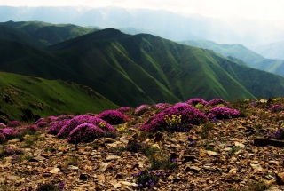 Armenia Mountain - Obrázkek zdarma pro Nokia C3