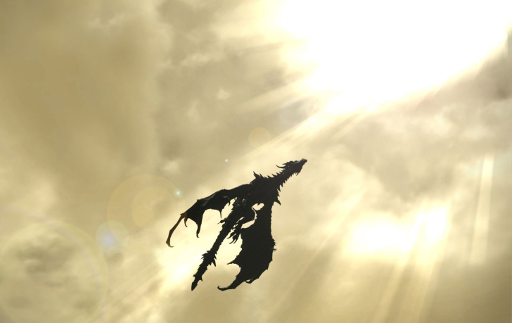 Dragon screenshot #1