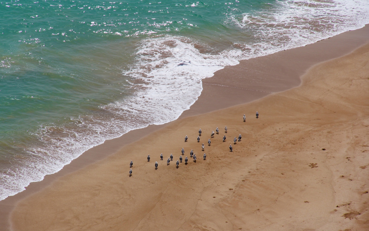 Beach wallpaper 1280x800