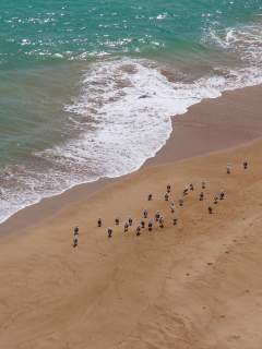 Beach screenshot #1 240x320