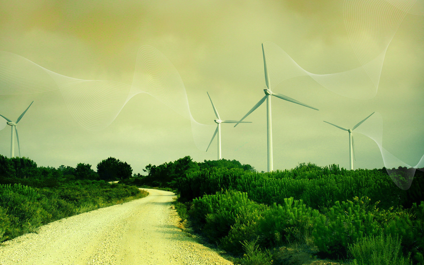 Das Wind turbine Wallpaper 1440x900