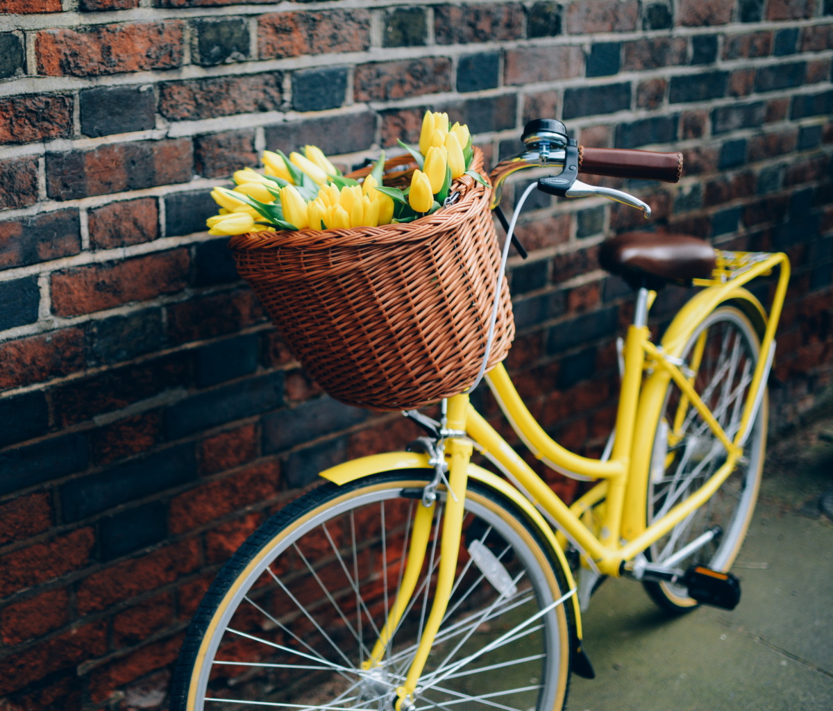Fondo de pantalla Yellow Tulips Bicycle 1200x1024