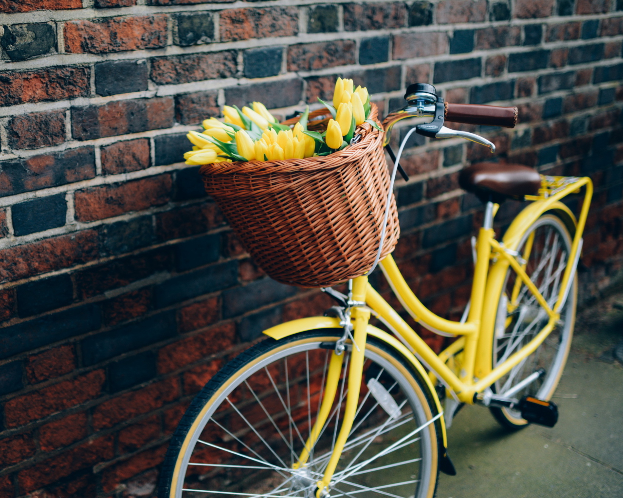 Yellow Tulips Bicycle wallpaper 1280x1024
