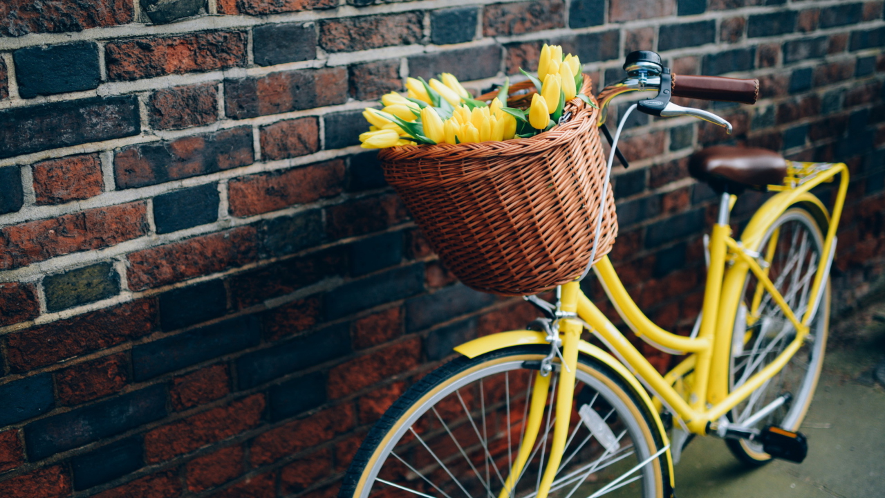 Das Yellow Tulips Bicycle Wallpaper 1280x720