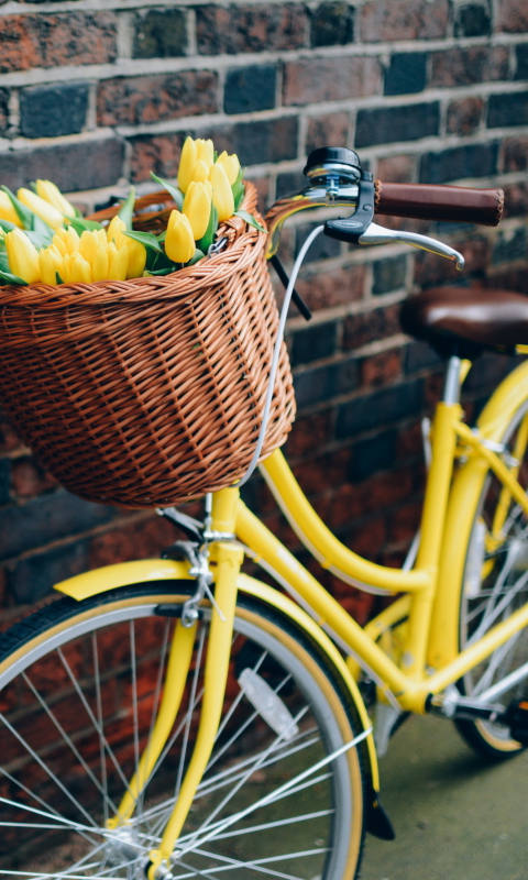 Обои Yellow Tulips Bicycle 480x800
