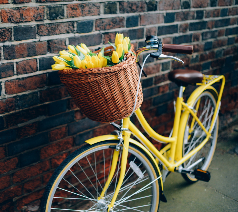 Обои Yellow Tulips Bicycle 960x854