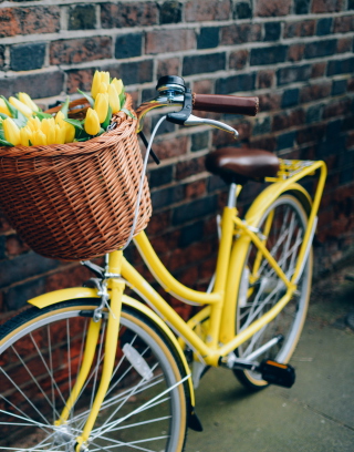 Yellow Tulips Bicycle - Obrázkek zdarma pro Nokia Asha 310