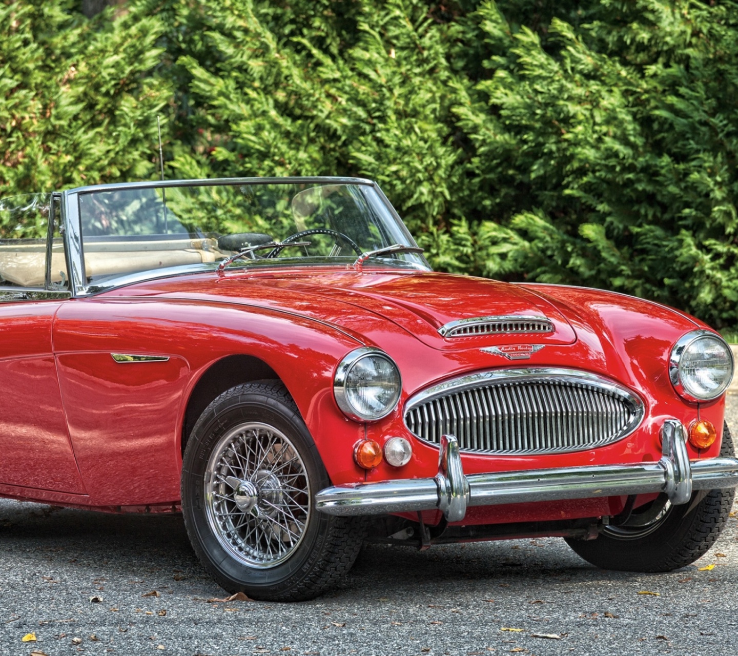 Обои 1966 Austin Healey 3000 1440x1280