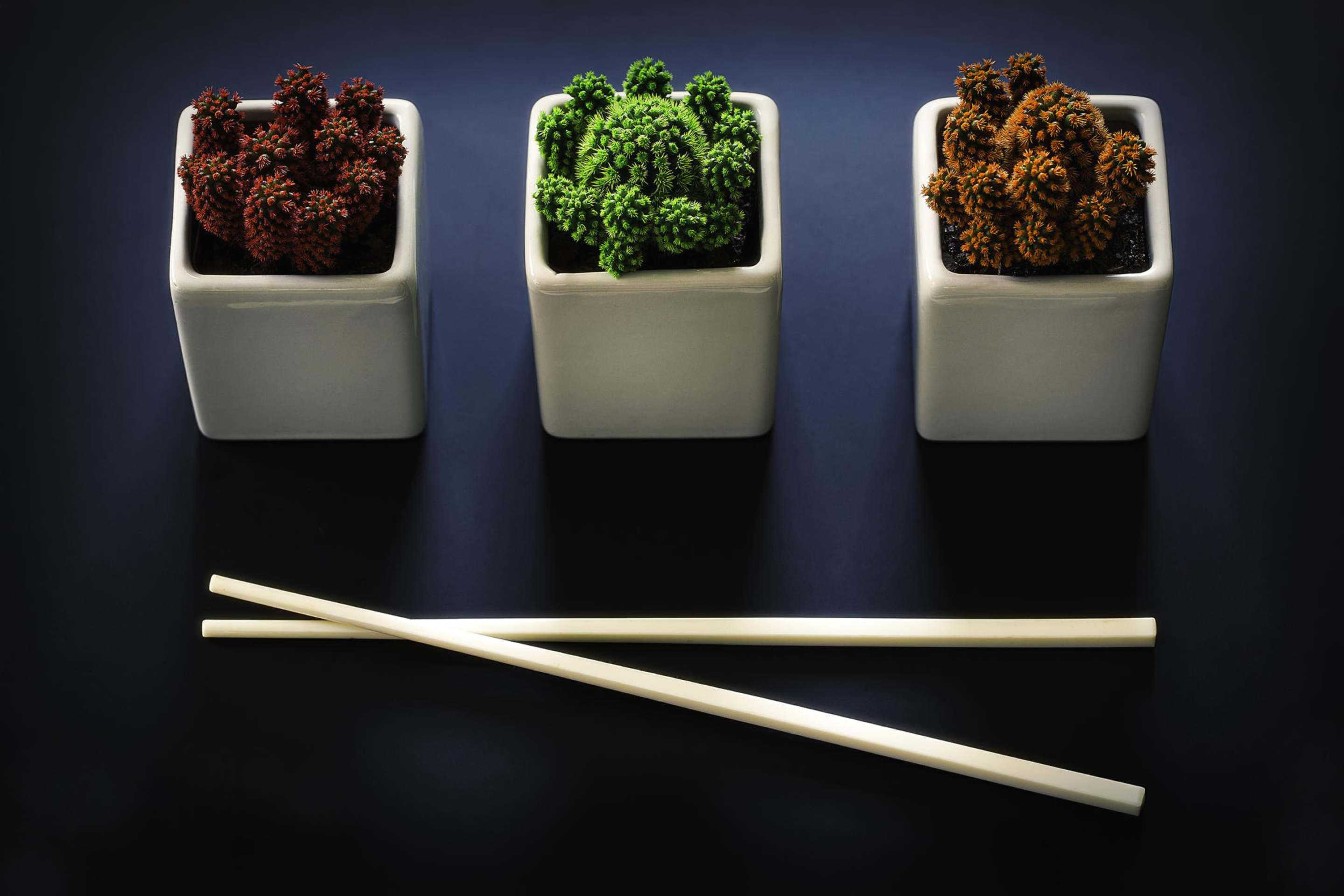 Screenshot №1 pro téma Chinese Chopsticks 2880x1920
