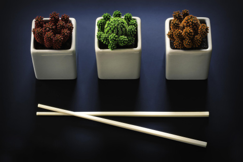 Screenshot №1 pro téma Chinese Chopsticks 480x320