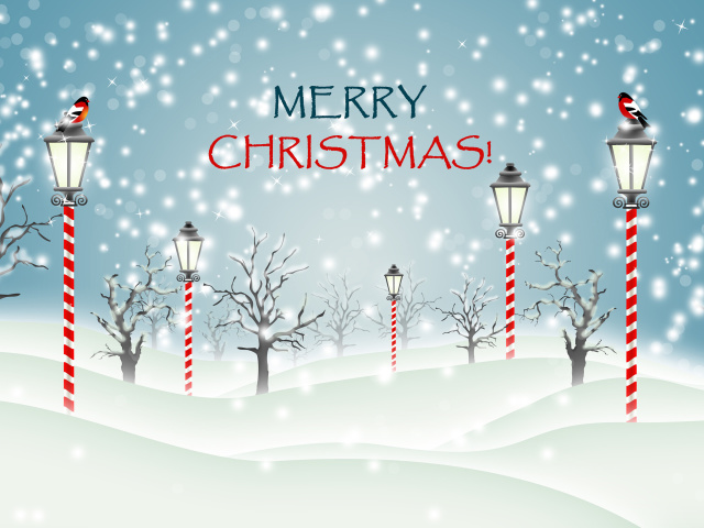 Christmas Park with Snow wallpaper 640x480