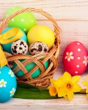 Easter Spring Daffodils Flowers and Eggs Decorations wallpaper 128x160