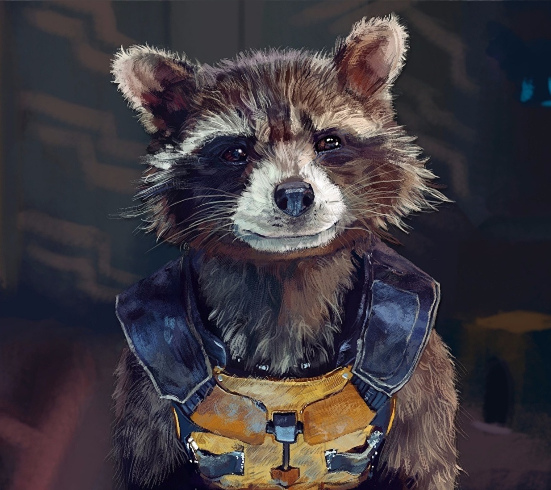 Обои Rocket Raccoon 1080x960