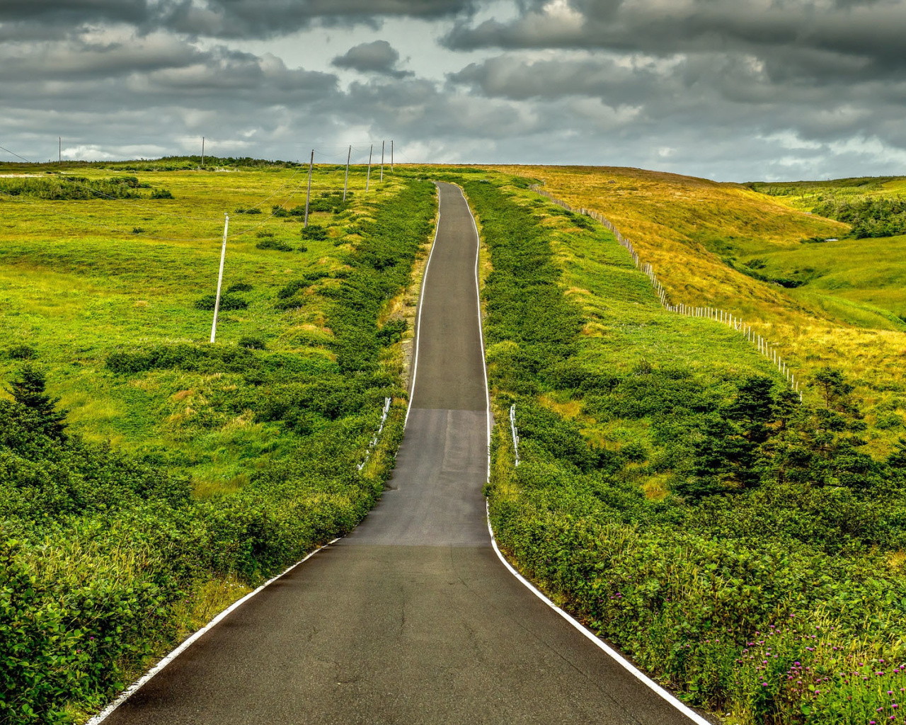 Fondo de pantalla Highway in Scotland 1280x1024