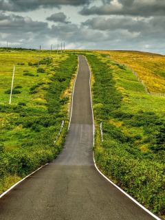 Das Highway in Scotland Wallpaper 240x320