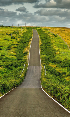 Обои Highway in Scotland 240x400