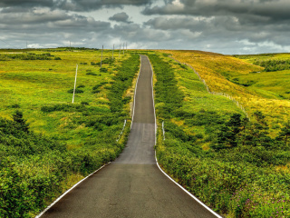 Das Highway in Scotland Wallpaper 320x240