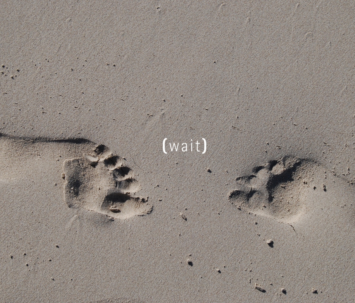 Das Footprints On Sand Wallpaper 1200x1024