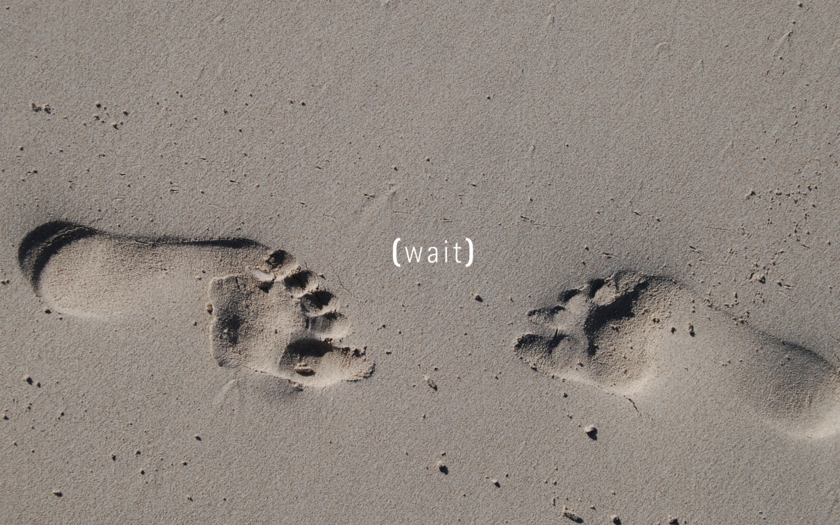 Screenshot №1 pro téma Footprints On Sand 1680x1050