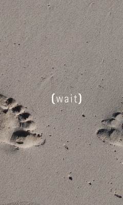 Footprints On Sand wallpaper 240x400