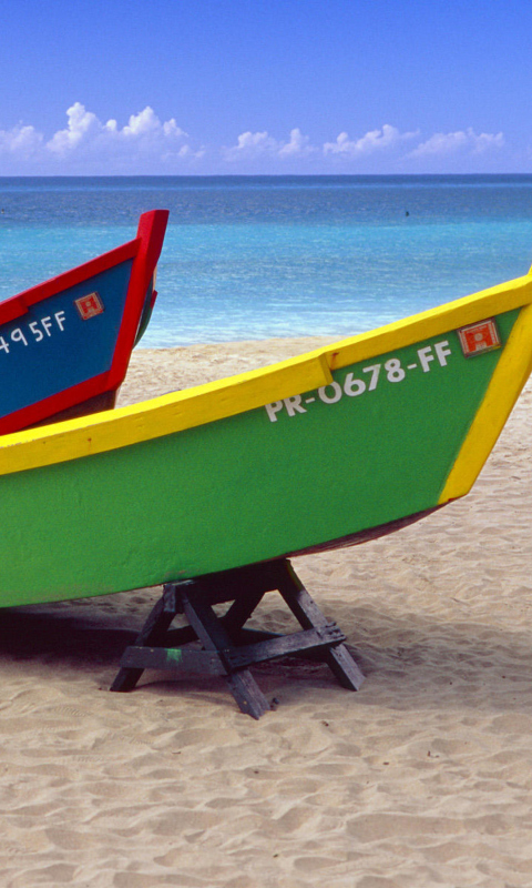 Fondo de pantalla Beach Puerto Rico 480x800