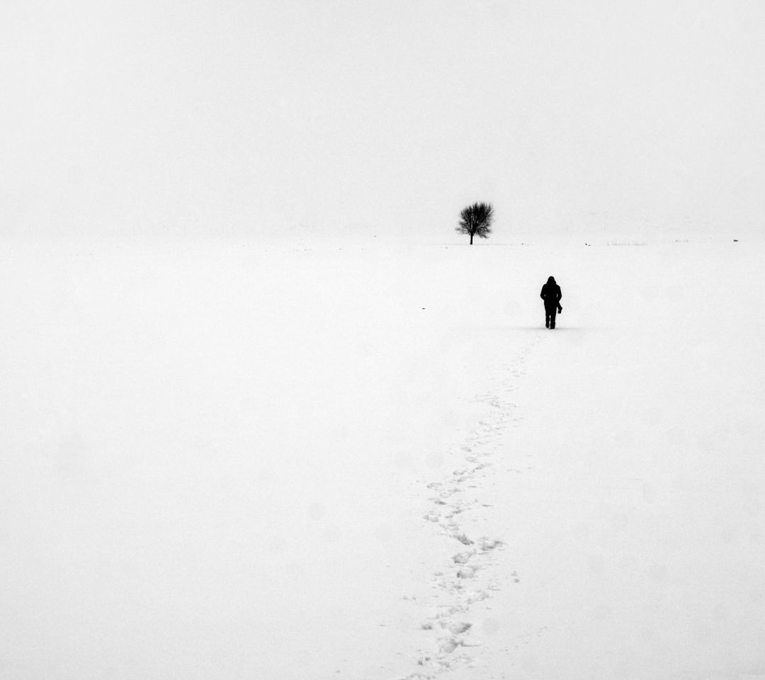 Lonely Winter Landscape wallpaper 1080x960