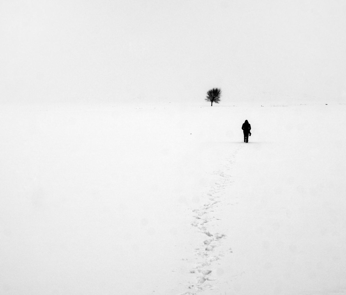 Lonely Winter Landscape wallpaper 1200x1024