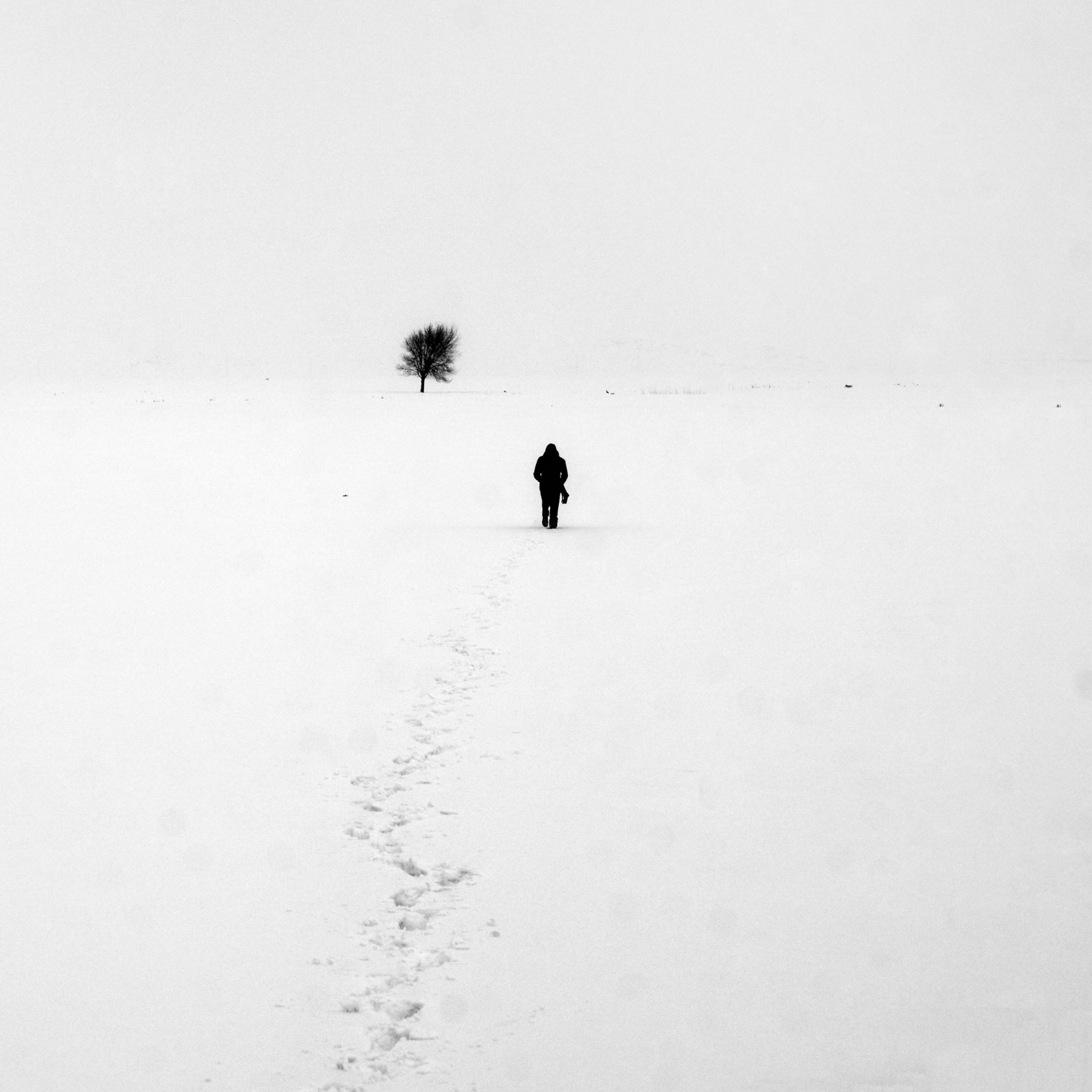 Das Lonely Winter Landscape Wallpaper 2048x2048