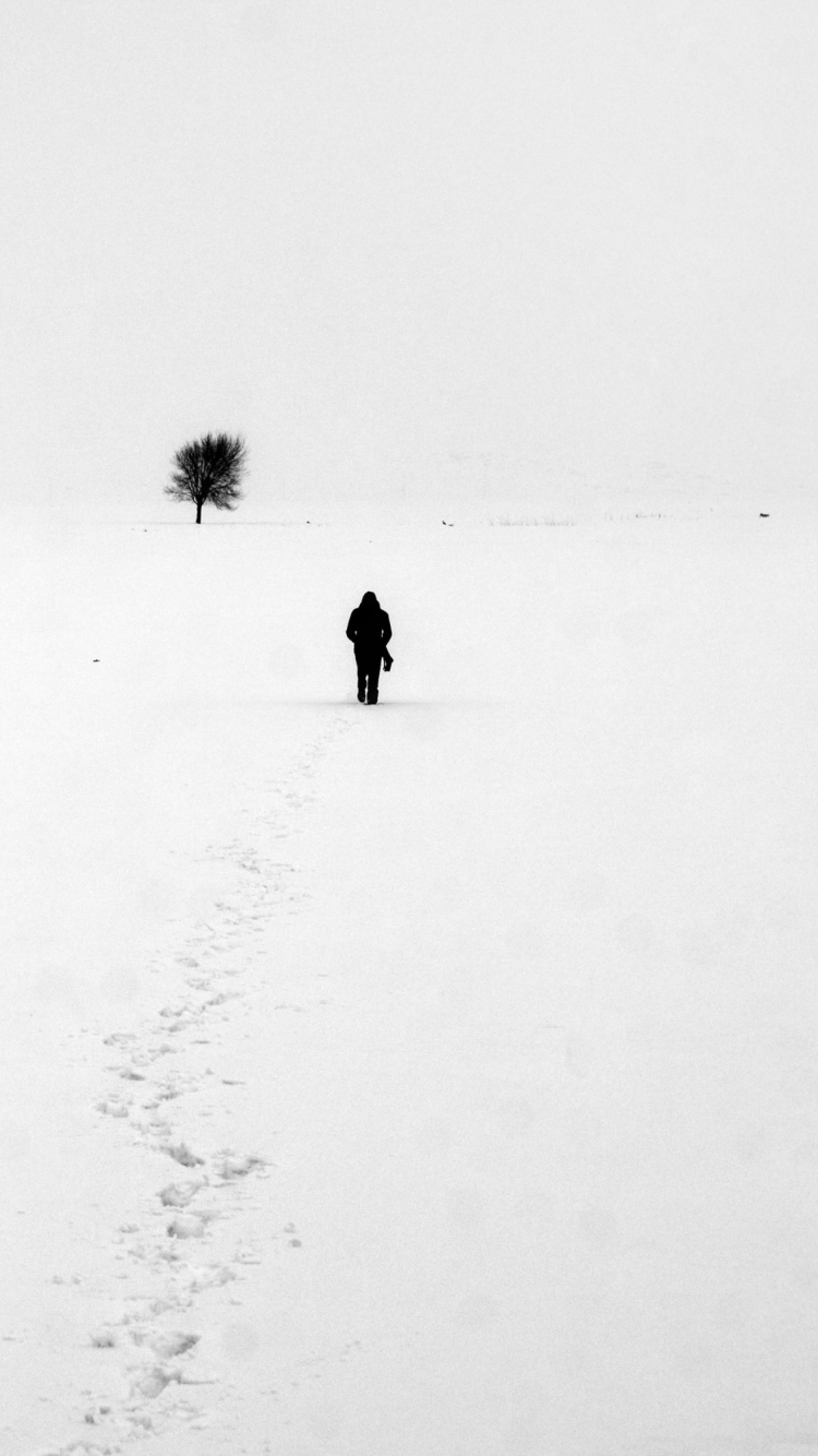 Lonely Winter Landscape wallpaper 750x1334