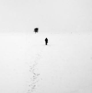 Lonely Winter Landscape - Obrázkek zdarma pro 208x208
