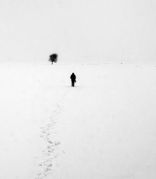 Lonely Winter Landscape - Obrázkek zdarma pro 360x640