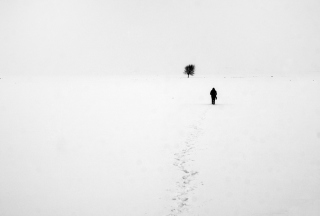 Lonely Winter Landscape papel de parede para celular para 1080x960
