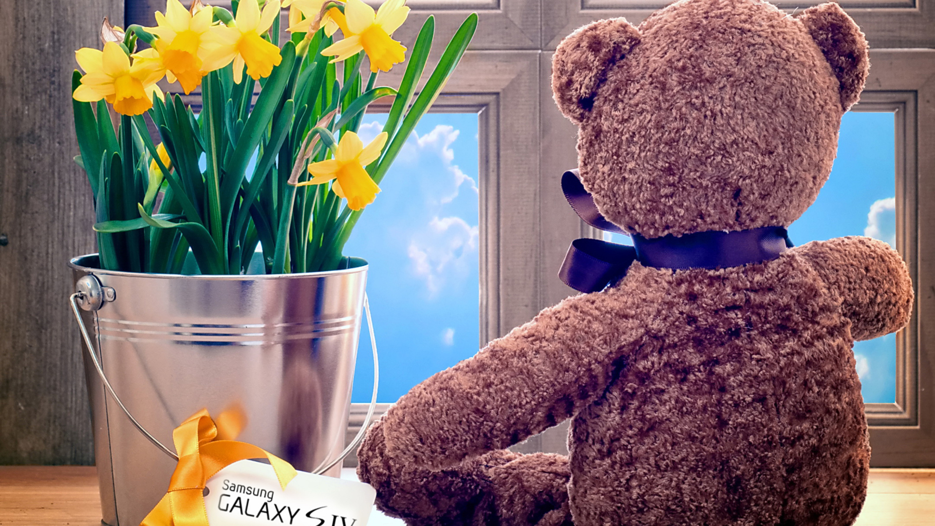 Das Teddy Bear with Bouquet Wallpaper 1920x1080